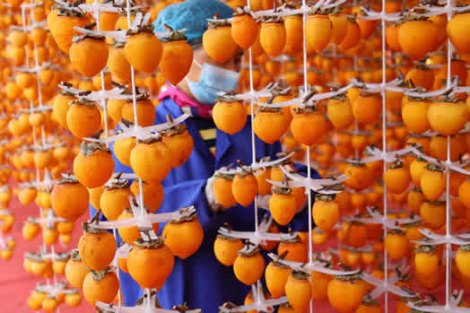 Massage the Persimmons